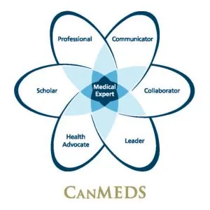 De CanMEDS-rollen in beeld