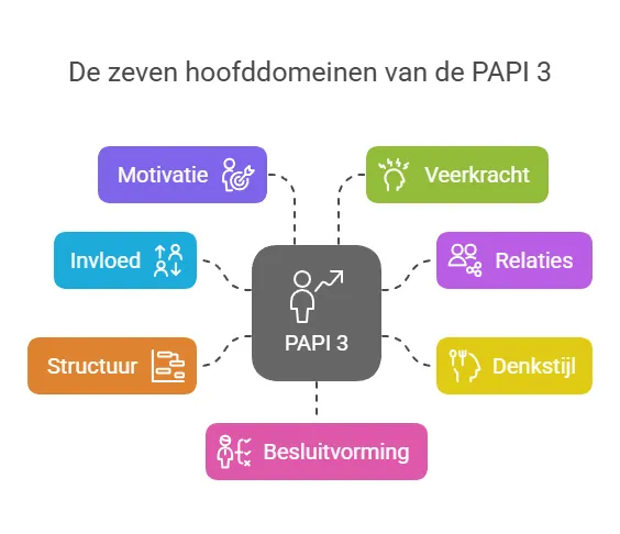 PAPI 3-vragenlijst: wat de test meet en hoe je hem inzet