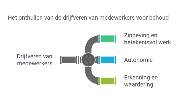drijfveren-infographic