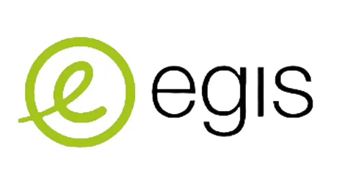 Egis Parking services